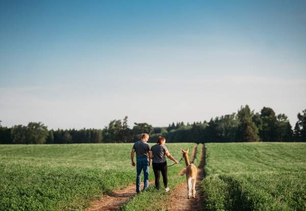 Udderly ridiculous farm life