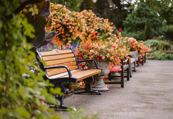 Botanical Gardens at Singleton