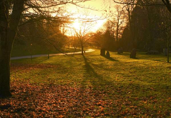Singleton Park in the winter
