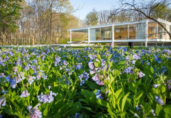 Edith Farnsworth House