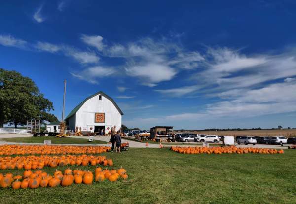 Sugar Grove Pumpkin Farm