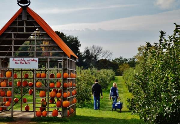 Crane Orchards
