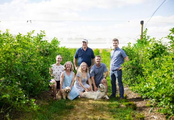 Berrylicious Fruit Farm