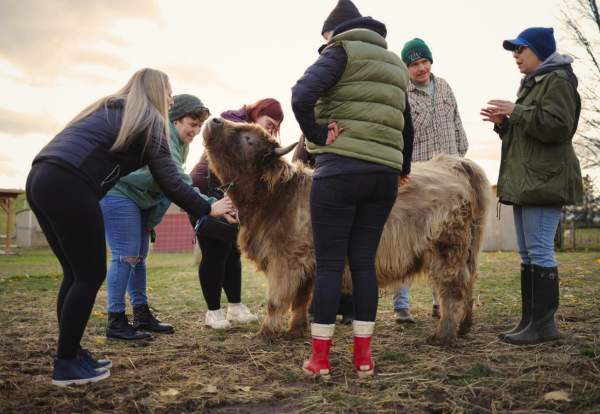 Udderly Ridiculous Farm Life