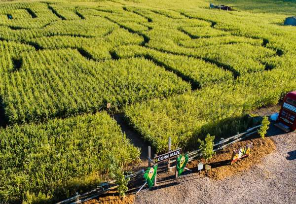 Snyder's Family Farm