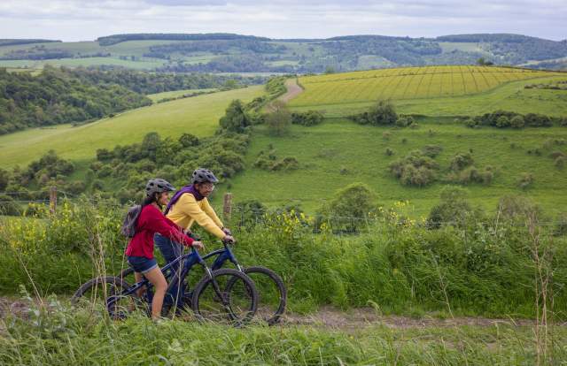 A man and woman riding mountain bikes along a track, on the South Downs