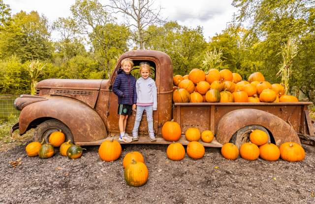 Pumpkins in truck trailer
