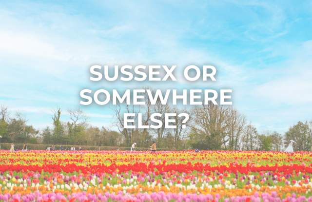 Discover the regions' best destination dupes