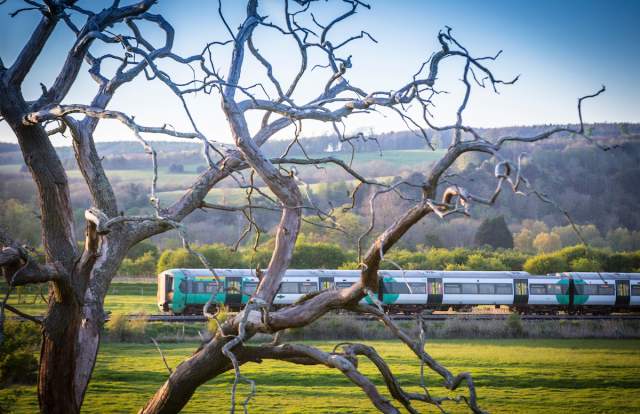 an image of a train travelling through countryside with arundel hills in the background