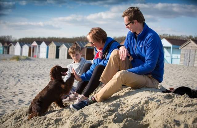 The dog-friendly beaches of Sussex