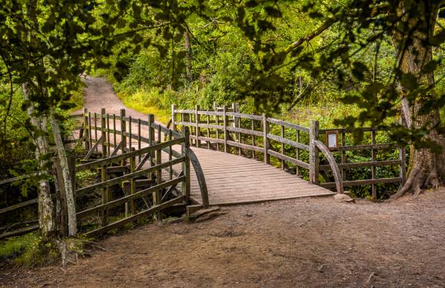 Winnie-the-Pooh at 100: visit the Sussex locations of the beloved books
