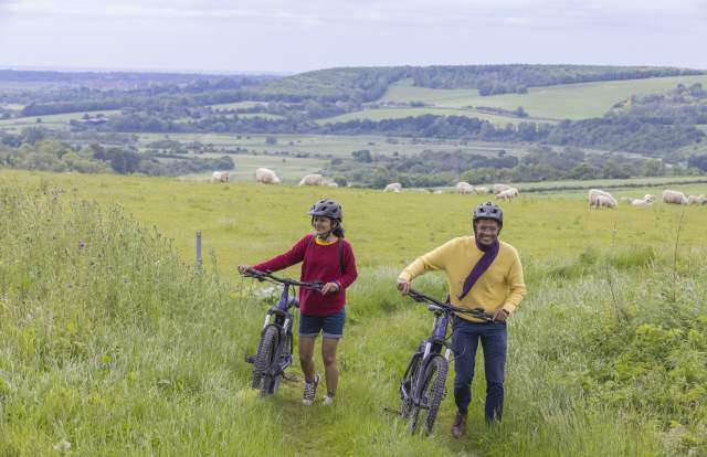 A couple pushing their bikes along a grassy track next to a field of sheep on the South Downs way, Sussex