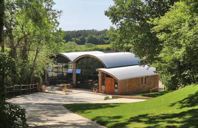 Sedlescombe Organic Vineyard