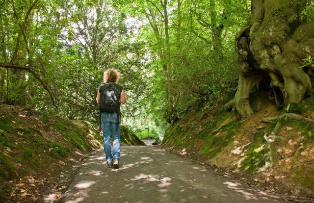 walking in the weald