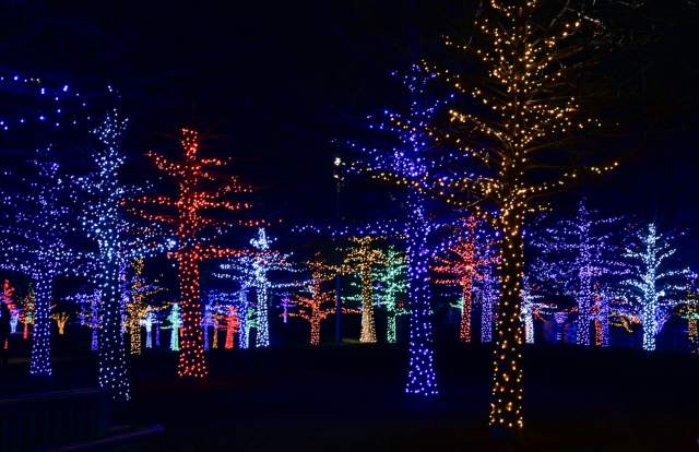 Festive Light Trails in Sussex 2025