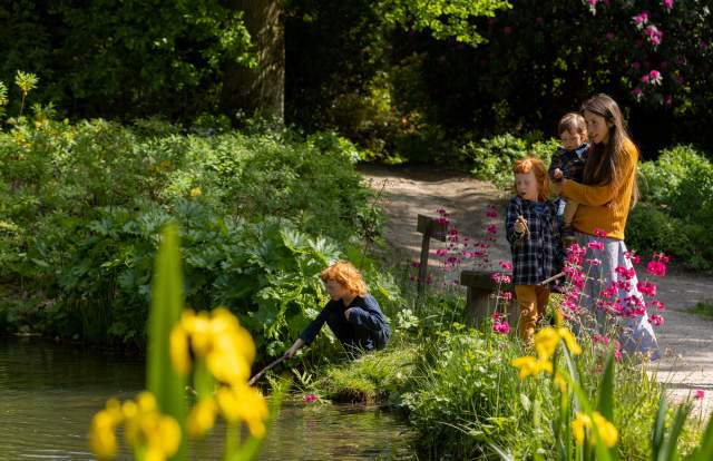 Family fun at Leonardslee Gardens - a family pond dipping in the sunshine