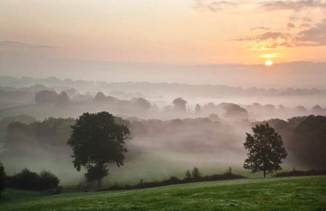 High weald misty landscape