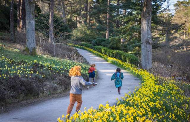 Leonardslee Gardens in Springtime