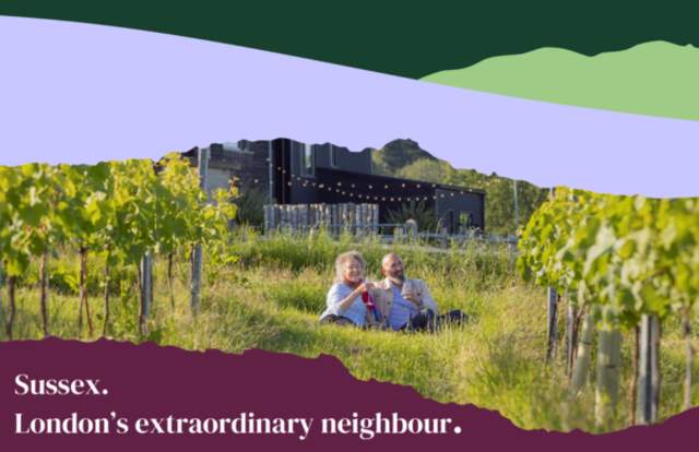 selling sussex toolkit image with a couple sat in a vineyard