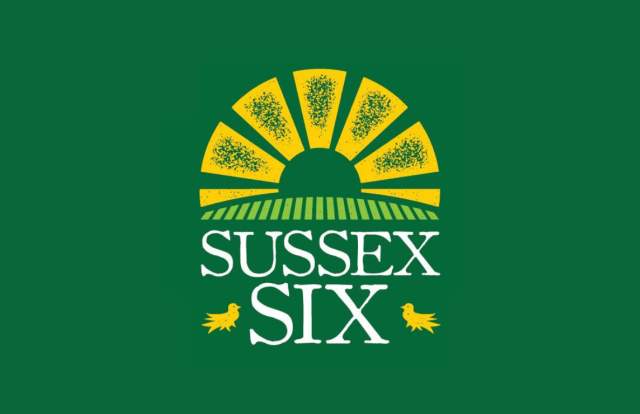 Sussex Six logo with sunburst in green and yellow