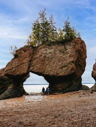 Hopewell Rocks Provincial Park