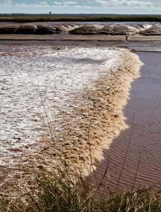 Tidal Bore