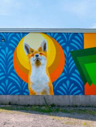 Festival Inspire's Art Murals