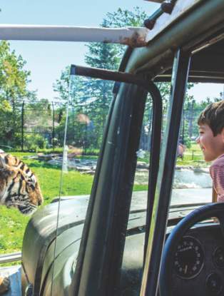 Zoo de Magnetic Hill