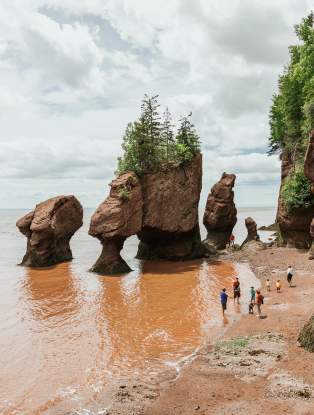 Le parc provincial des Rochers Hopewell