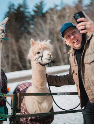 Llama-zing Adventures
