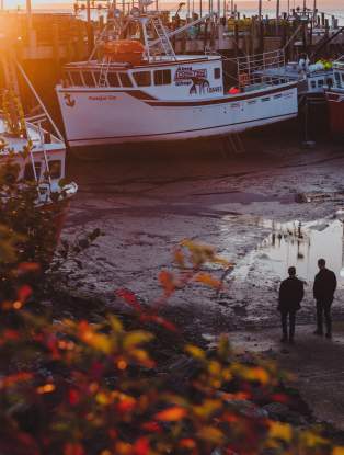 Roads To Sea Tours