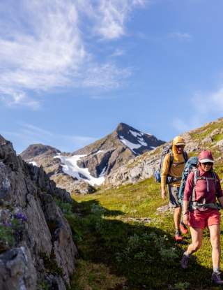 Summer : Nelson Brown