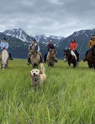 Bardy's Trail Rides