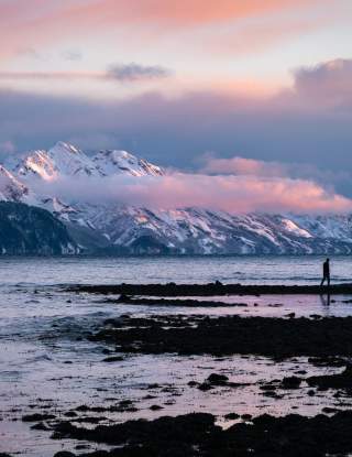 Winter : Sarah Conlin