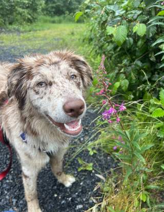 Winnie, Ally Burdett