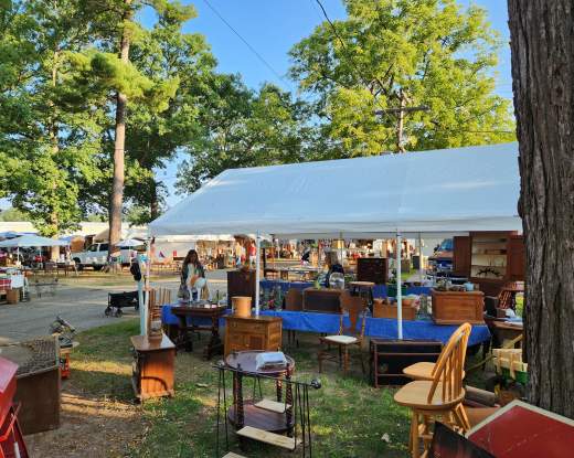 Allegan Antiques Market