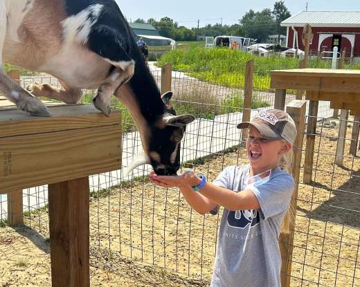 Critter Barn