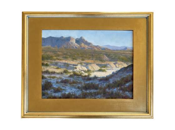 Afternoon Shadows - Big Bend National Park, Texas by John Edwards