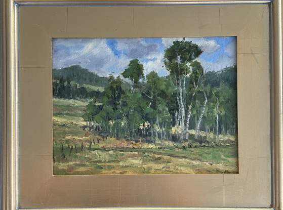 Lake Creek Aspens - Edwards, CO