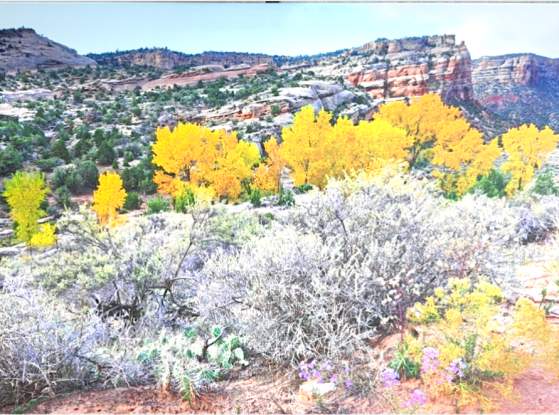 October Morning by Rick Ahern