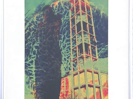 Statuesque 1 by Patrick Metoyer