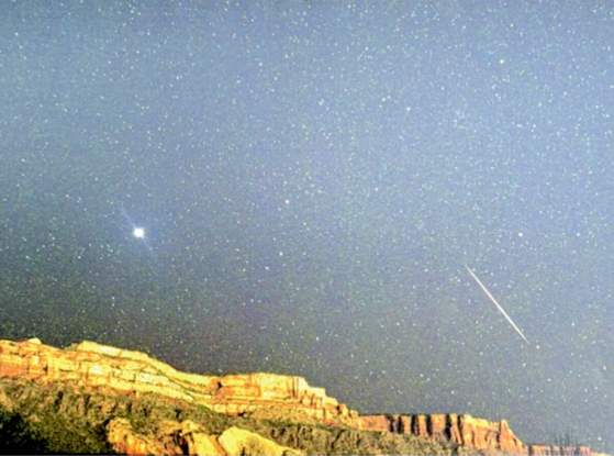 Leonid Meteor by Rick Ahern