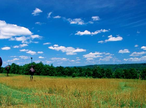 Griffis Sculpture Park page