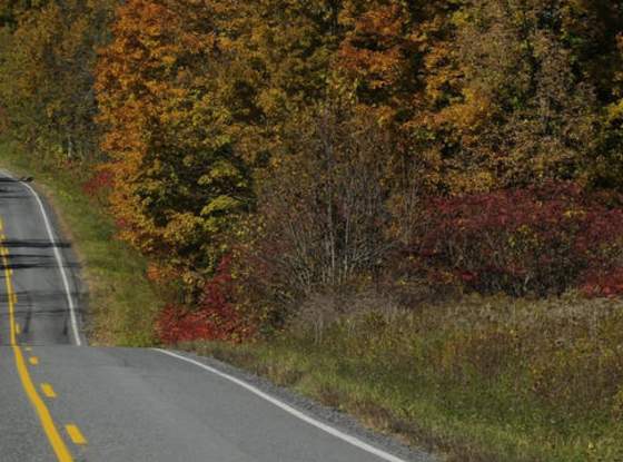 Country Road in Schoharie County page