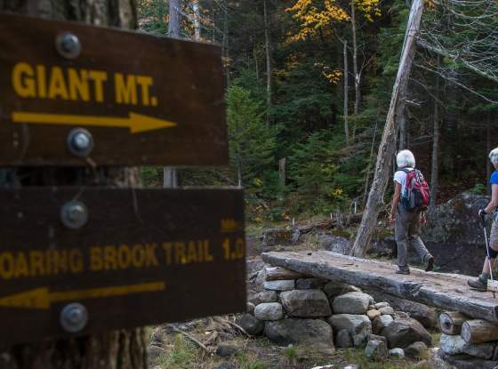 Trail to Giant Mountain at Giant Washbowl page