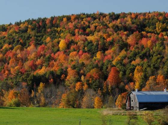 Fall Views Schoharie County along Route 30 page