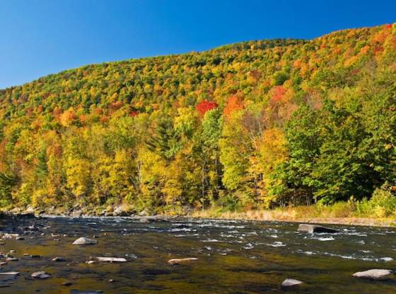Esopus Creek near Mt. Tremper page