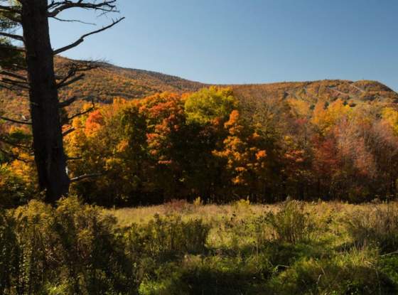 Hunter Mountain page