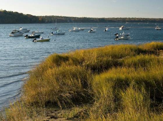 Cold Spring Harbor page
