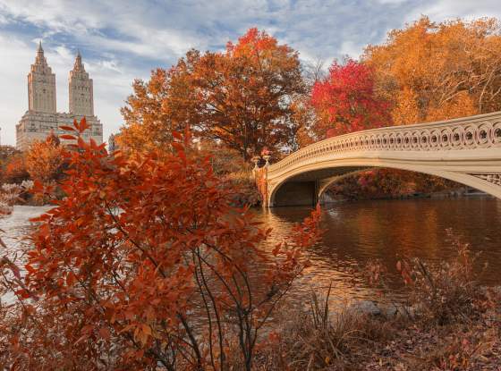 Central Park, NYC page